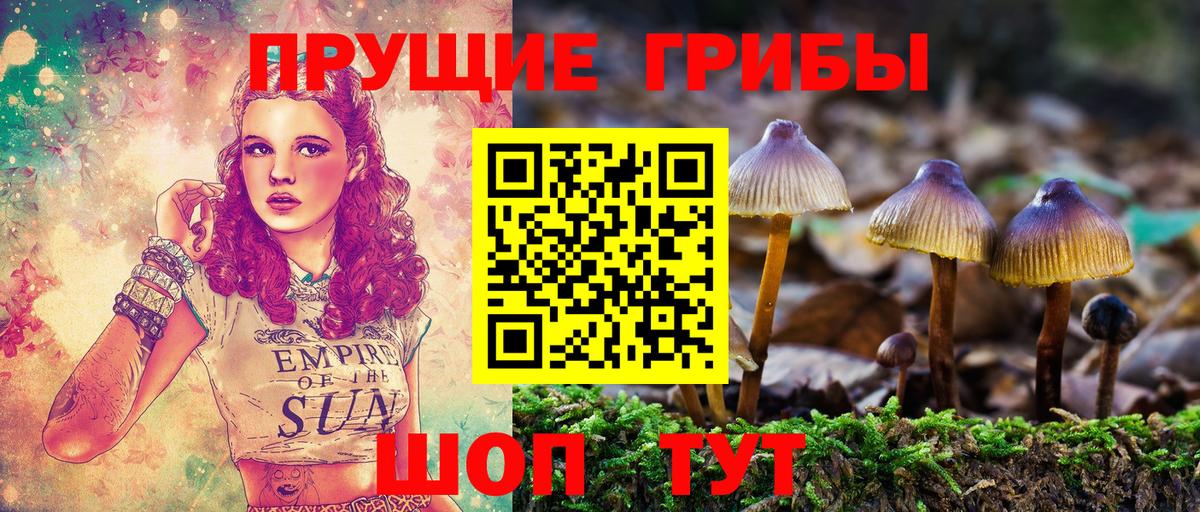 МЕТАДОН Новочеркасск