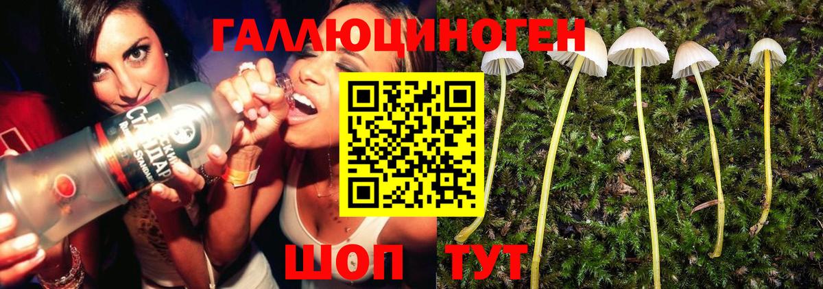 Псилоцибиновые грибы ЛСД Новочеркасск